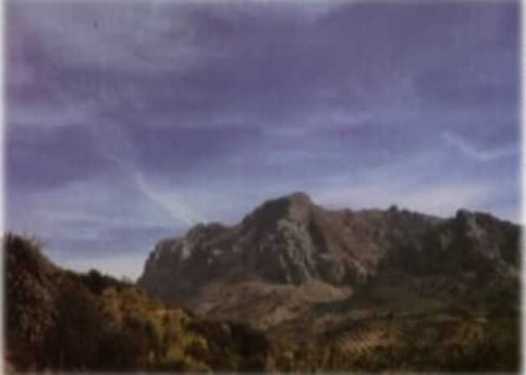 S. Horconera