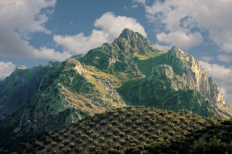 S. La Tiñosa